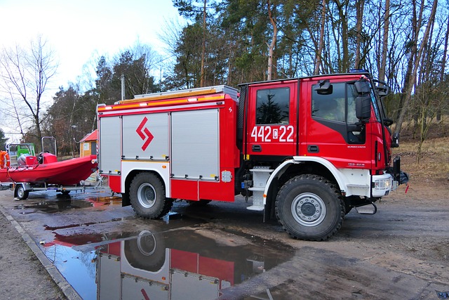 tree-services-640x480-25887310.jpeg