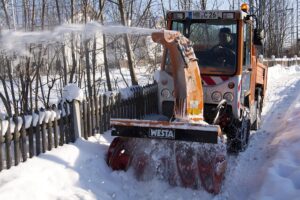 tree-services-640x480-36797802.jpeg