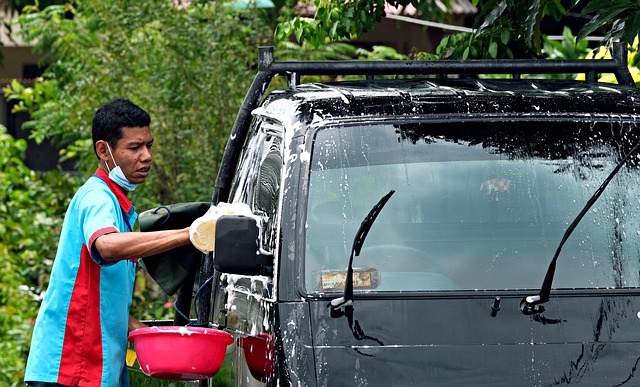 tree-services-640x480-46021573.jpeg