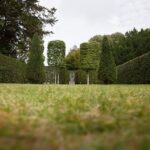 Vancouver WA Tree Trimming: Expert Care for Healthy Trees