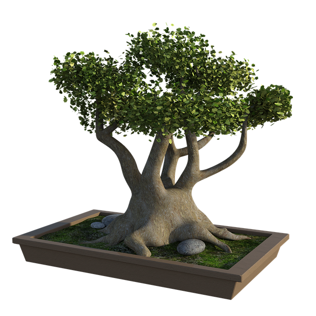tree trimming