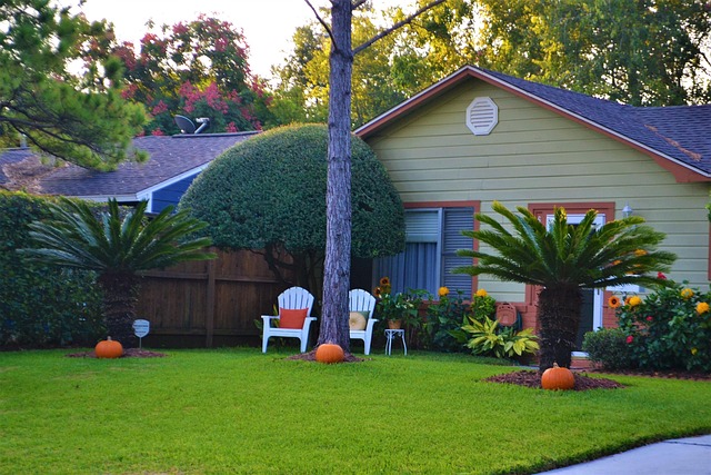 tree-trimming-640x480-85662289.jpeg