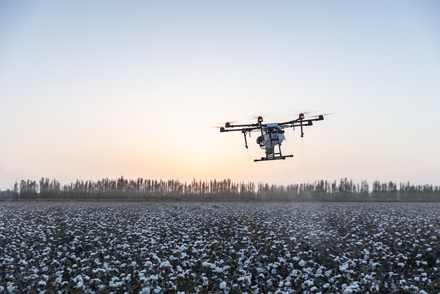 uavs