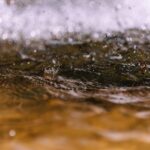 Optimizing Drinking Water Usage: Solutions for Conservation