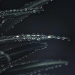 Purification Methods for Clean Drinking Water Sources