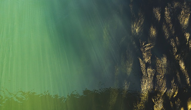 water