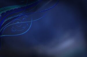 web-design-640x480-2878611.jpeg