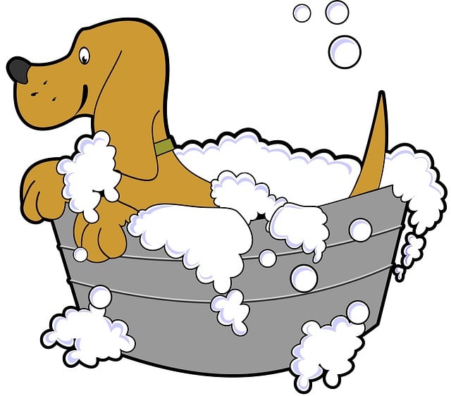 bath-rugs-640x480-34947265.jpeg