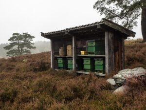 beekeeping-supplies-640x480-53552962.jpeg