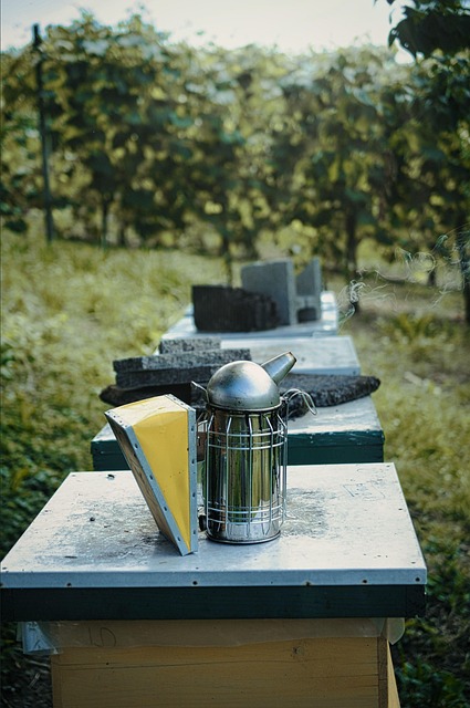 beekeeping-supplies-640x480-91109119.jpeg