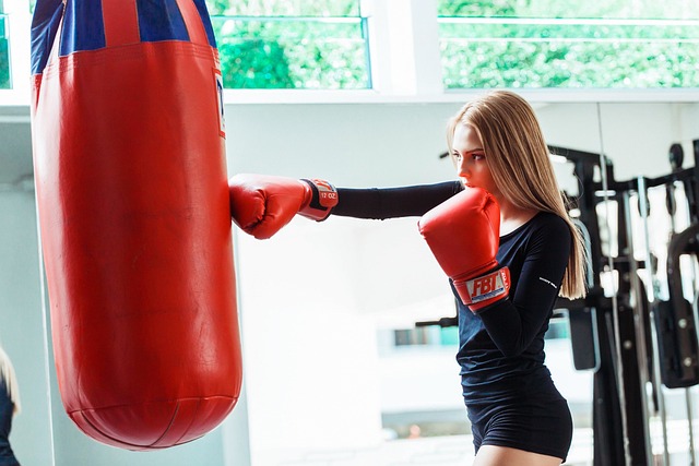 boxing-bag-gloves-640x480-10352002.jpeg