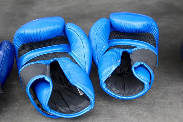 boxing bag gloves