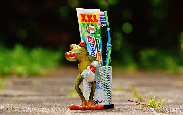 dental burs