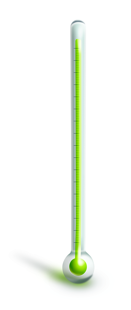 dog thermometers