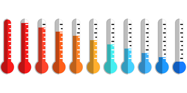 dog thermometers