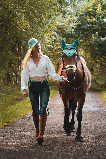 equestrian-equipment-640x480-43816876.jpeg