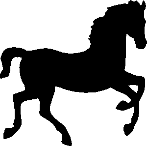 equestrian-equipment-640x480-57980823.png