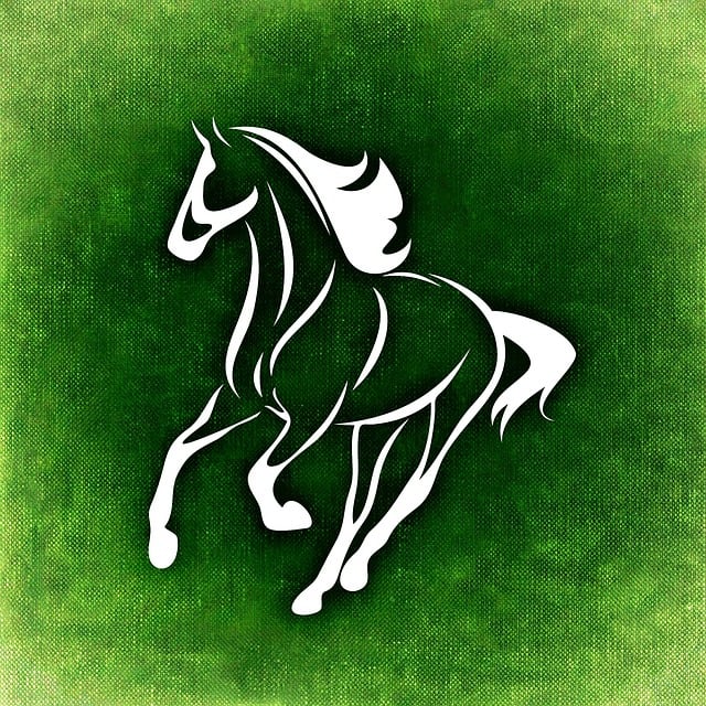 equestrian equipment