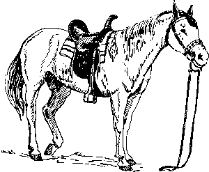 equestrian-equipment-640x480-84741681.png