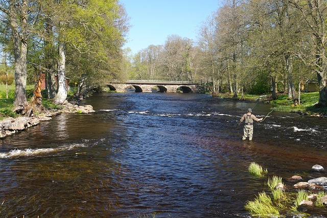 fly fishing flies