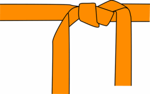 jiu-jitsu-uniforms-640x480-12376585.png