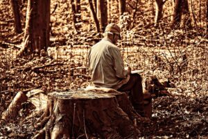 stump-grinding-640x480-6165340.jpeg