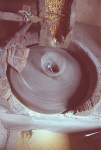 stump-grinding-640x480-7634256.jpeg