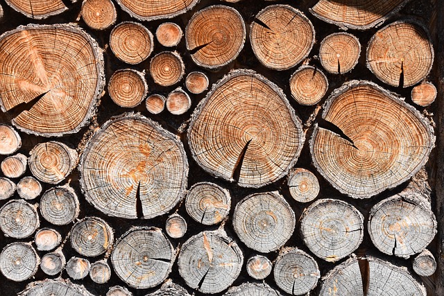 stump-grinding-640x480-92413723.jpeg