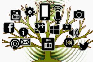 tree-services-640x480-38034228.jpeg