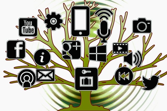 tree-services-640x480-38034228.jpeg