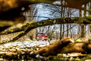 tree-services-640x480-68082929.jpeg