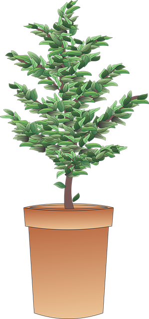 tree-trimming-640x480-33591832.png