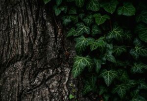 tree-trimming-640x480-70856028.jpeg