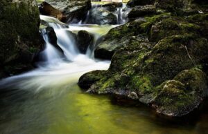 water-640x480-9898281.jpeg
