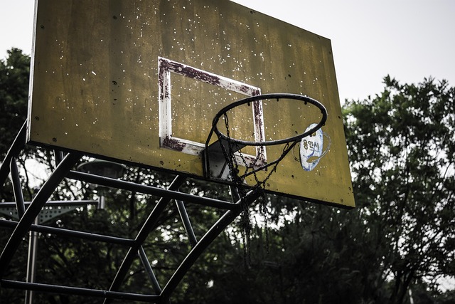 basketball-training-equipment-640x480-750826.jpeg