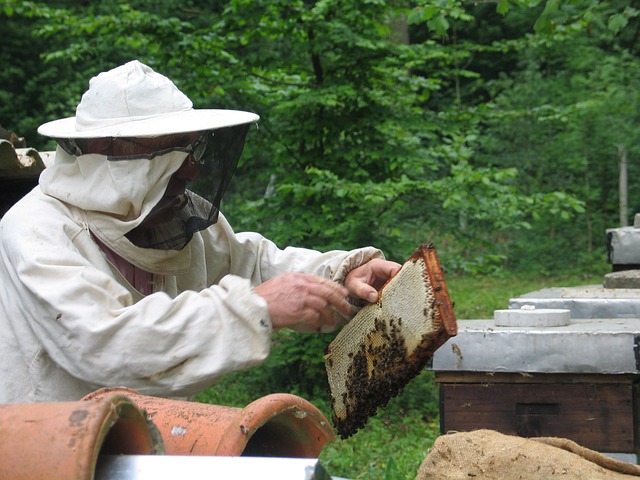 beekeeping supplies