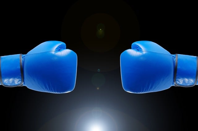 boxing bag gloves