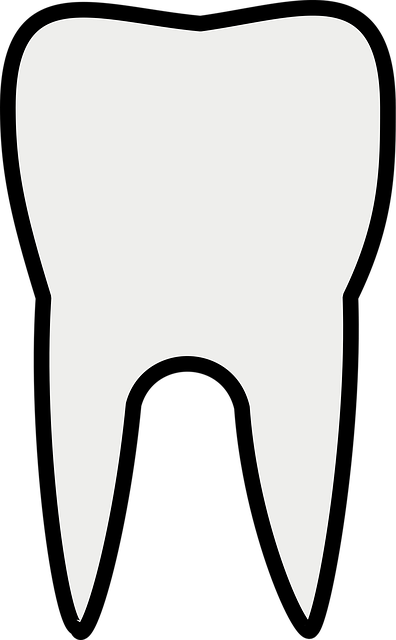 dental burs