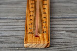dog-thermometers-640x480-1103600.jpeg