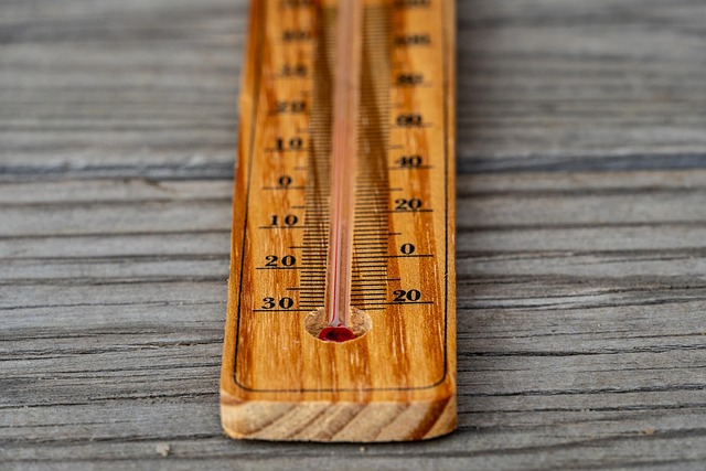 dog-thermometers-640x480-1103600.jpeg
