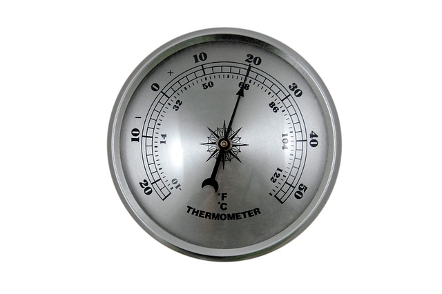 dog thermometers