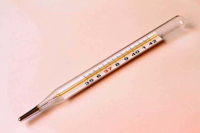dog thermometers