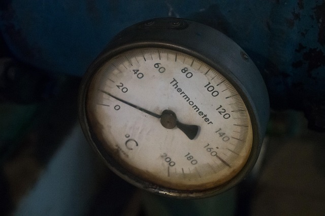 dog thermometers
