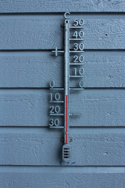 dog thermometers