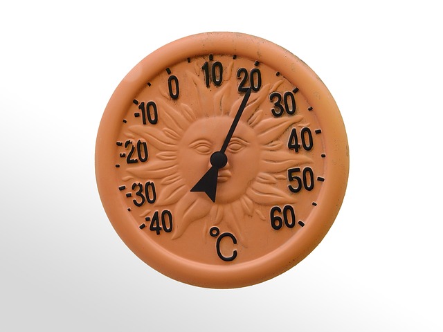 dog-thermometers-640x480-78839433.jpeg