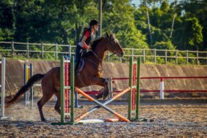 equestrian-equipment-640x480-21249709.jpeg