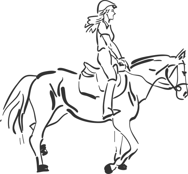 equestrian equipment