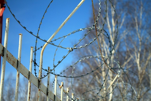 fencing equipment