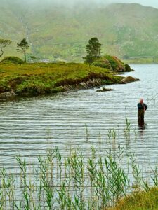 fly-fishing-flies-640x480-19922770.jpeg