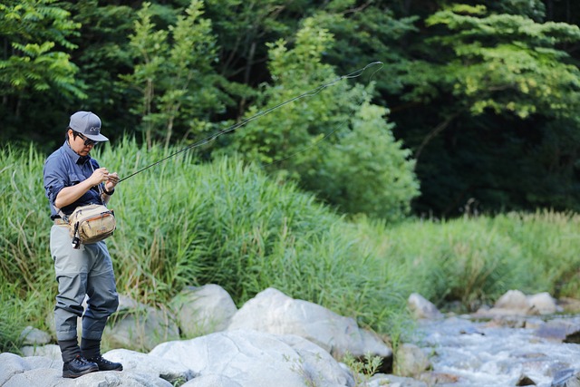 fly fishing flies